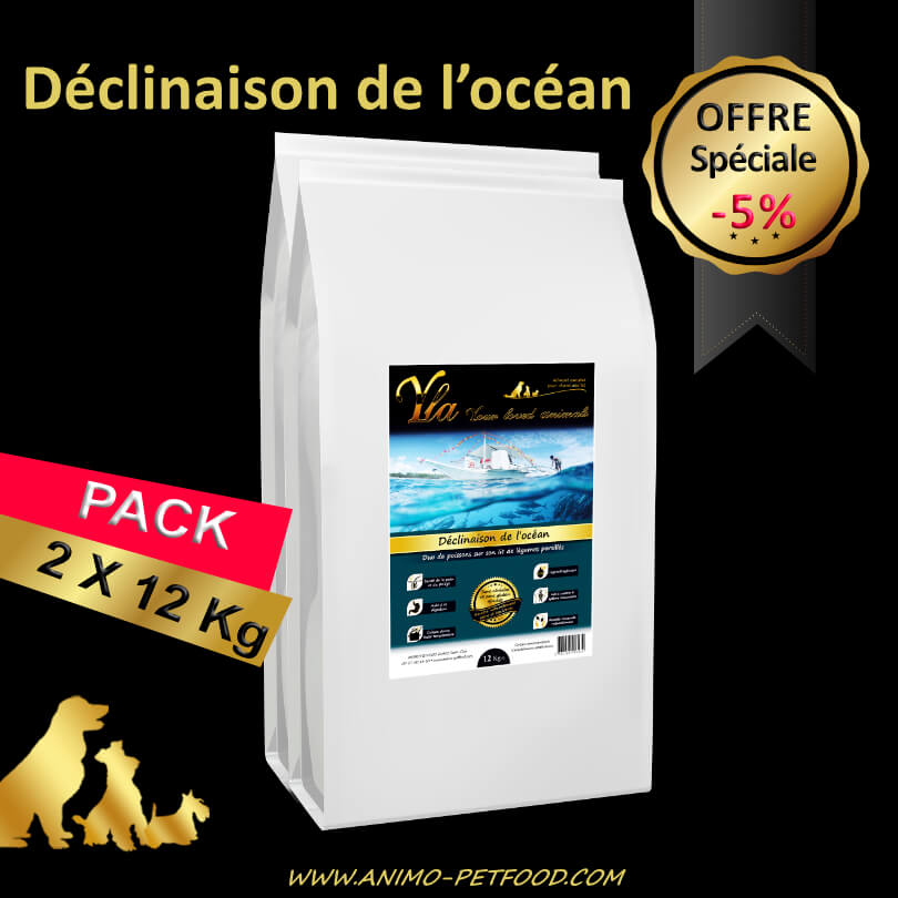 alimentation-riche-en-poisson-pour-chien